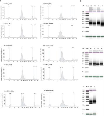 Design and experimental validation of OPERA_MET-A panel for deep methylation analysis by next generation sequencing